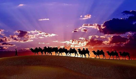 关于那些被各省藏起来的特产,全国各省特产适合带回家的