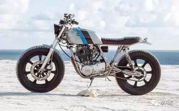 毒物经典电影,毒物潮品推荐