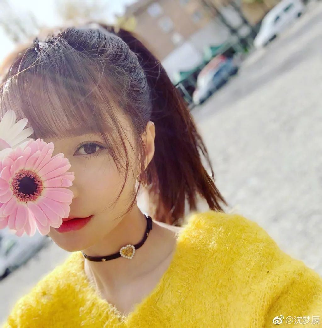 沈梦辰杜海涛卖杨迪东西,沈梦辰卖东西