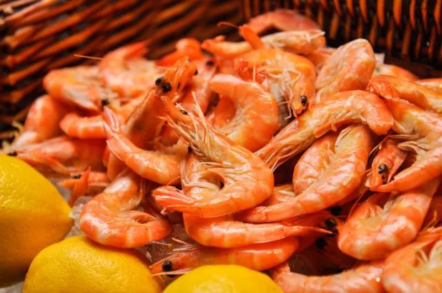 ¥238/位——“爱尔兰生蚝+15种海鲜”畅吃,还送波龙!乐队表演周末哈根达斯!这家希尔顿旗下酒店颠覆吃货想象!