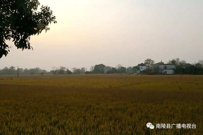 220元能买什么,220元买什么最划算