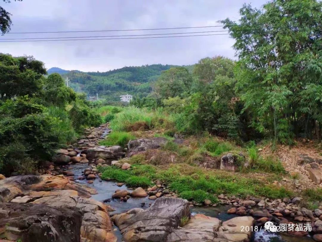 看一眼就忘不掉电影,看一眼一辈子都忘不掉的视频