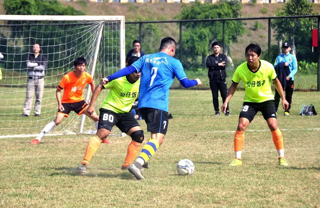 期待新农村新景象,未来几年农村必定大变样