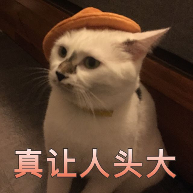 70岁老师行骗40年,日本老师行骗