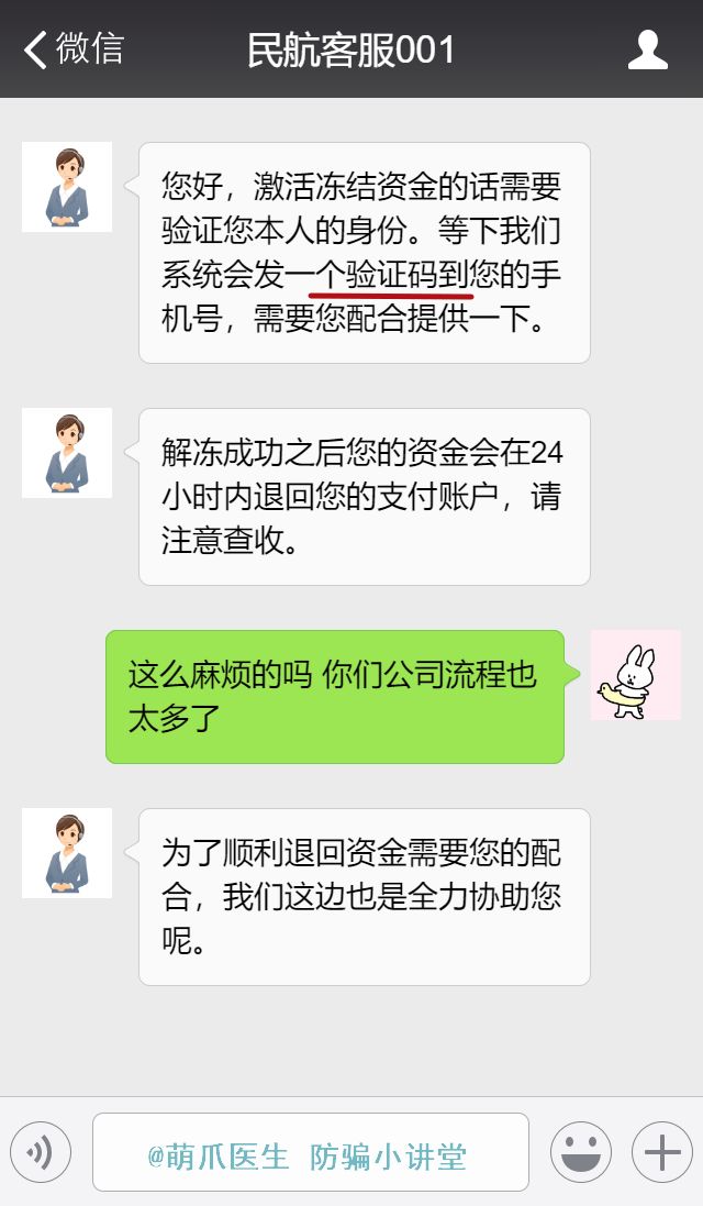 布偶猫多大可以领养,为什么不建议你领养布偶猫