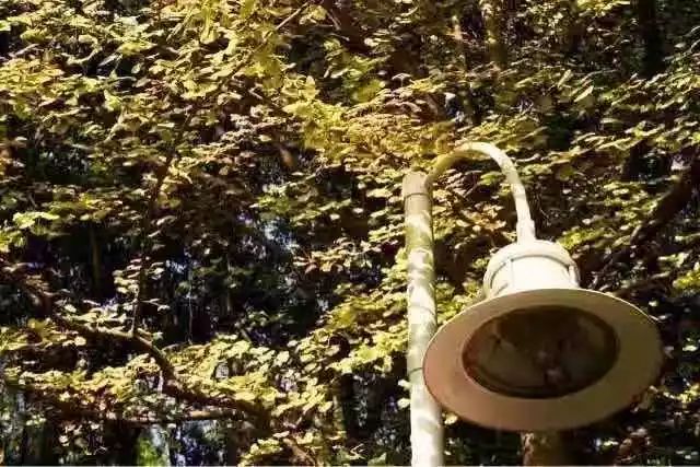 满城尽带黄金甲取景地图片,满城尽带黄金甲震撼场景