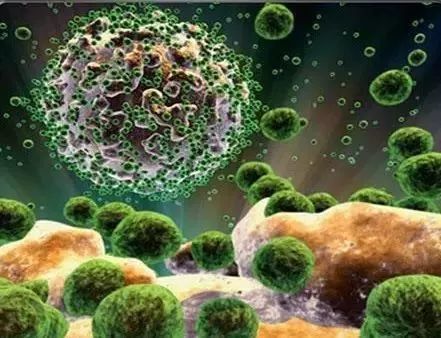 艾滋病到底有多可怕看完你就明白,艾滋病有多可怕你真的知道吗