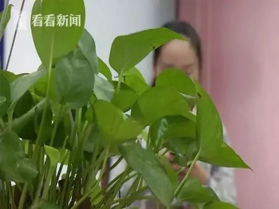 onelove完整版就是现在,onelove治愈版本