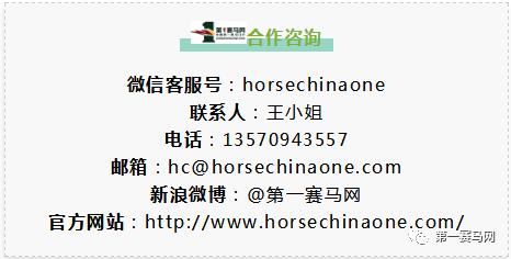 赛马前腿瘸了什么原因,赛马腿瘸了