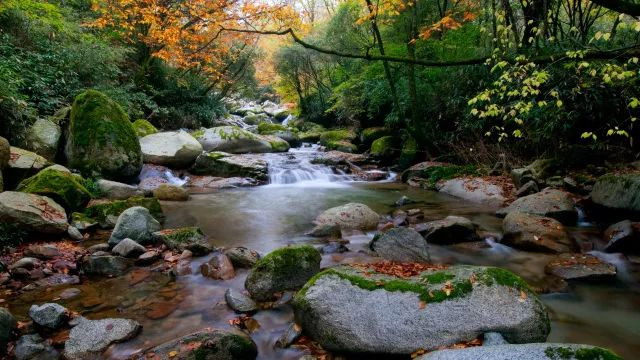 巴中风景区排行榜前十名,巴中网红打卡
