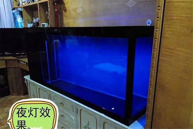 最简单的方法自制鱼缸背景,小型鱼缸制作全过程