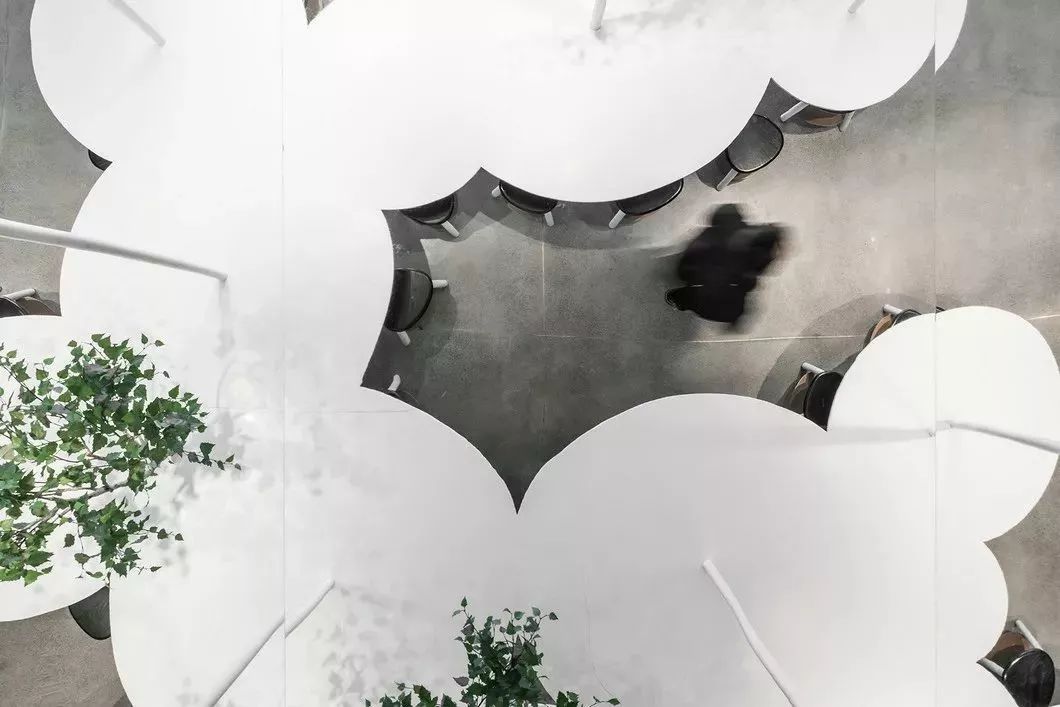 网红茶叶第一茶,抖音喝茶第一人