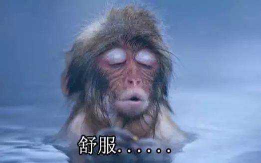 大连温泉百溪泉洗浴,大连洗温泉推荐