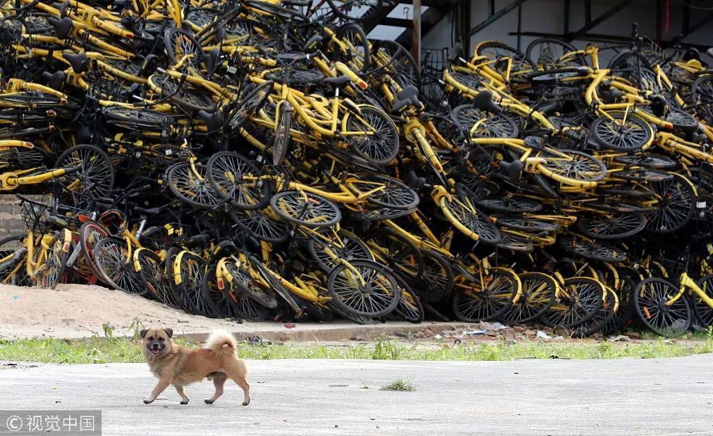 您的11月，已加载完毕