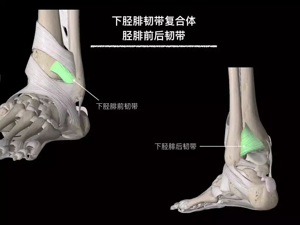 踝关节韧带修复手术康复动作,踝关节韧带康复训练图解