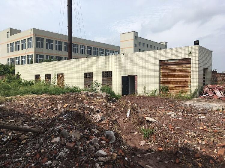 雷士创始人吴长江资产6310万起拍国资成推手