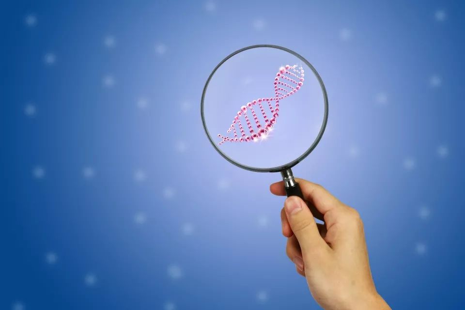 体检行业有哪些骗局,十大体检骗局