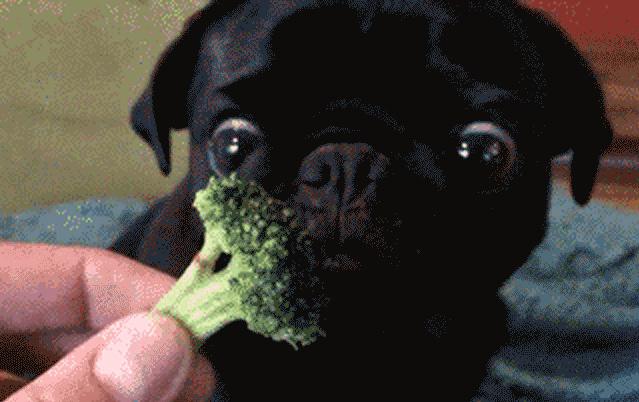 蓝莓和猪肝哪个补眼睛,猪肝加上什么明目