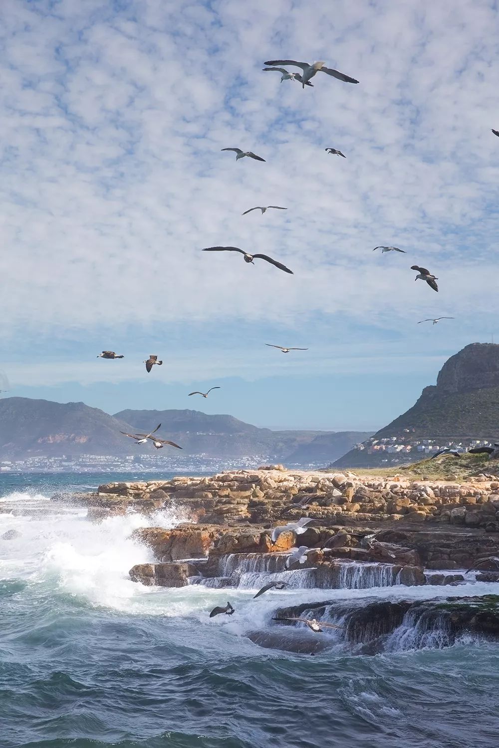 开普敦第七大奇迹,开普敦真实的样子