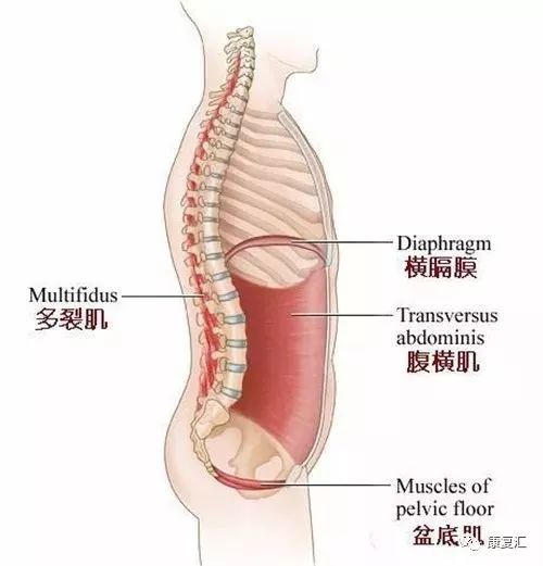 长期跷二郎腿怎么纠正,跷二郎腿引起的伤害怎样锻炼