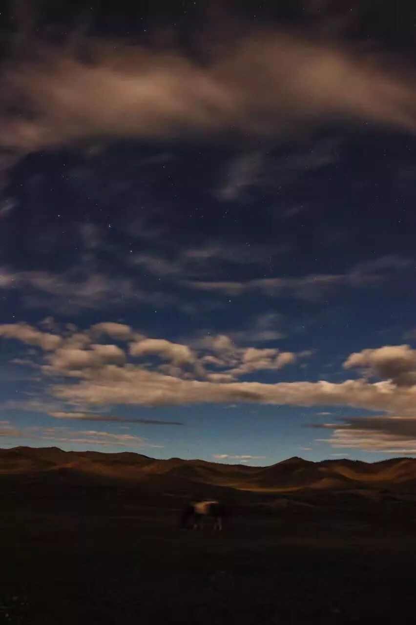 那个开着旅行咖啡车的女孩，暂别荒野重返都市