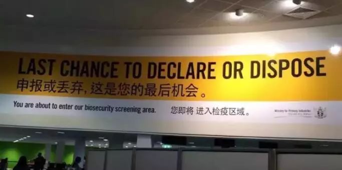 你代购吗?人肉代购回国开箱震惊所有人