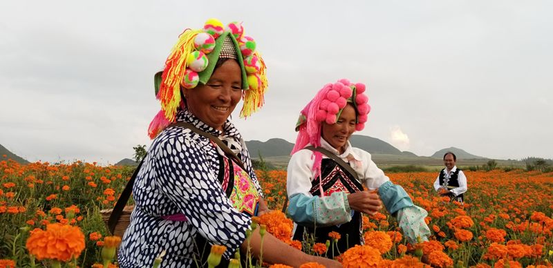 蒙自的城市风光,蒙自最美风光