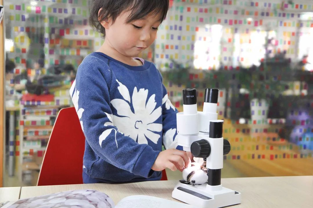 双12给宝宝囤的宝宝用品,双12宝宝必买清单