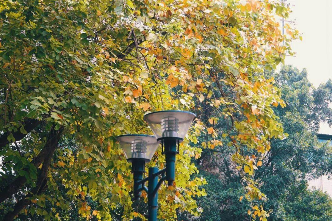 盘点那些美丽的校园时光,盘点那些美丽的校园