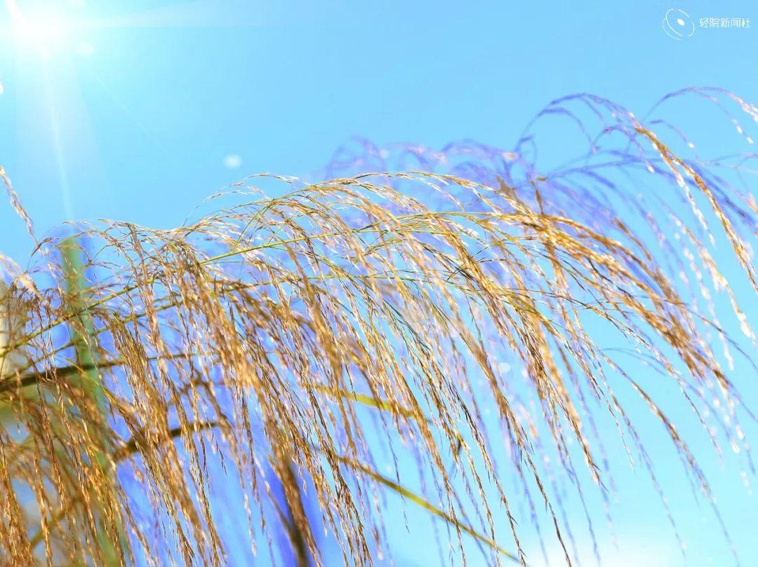 盘点那些美丽的校园时光,盘点那些美丽的校园