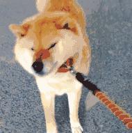 汝州现在房价多少钱一平,房价不到两千的城市