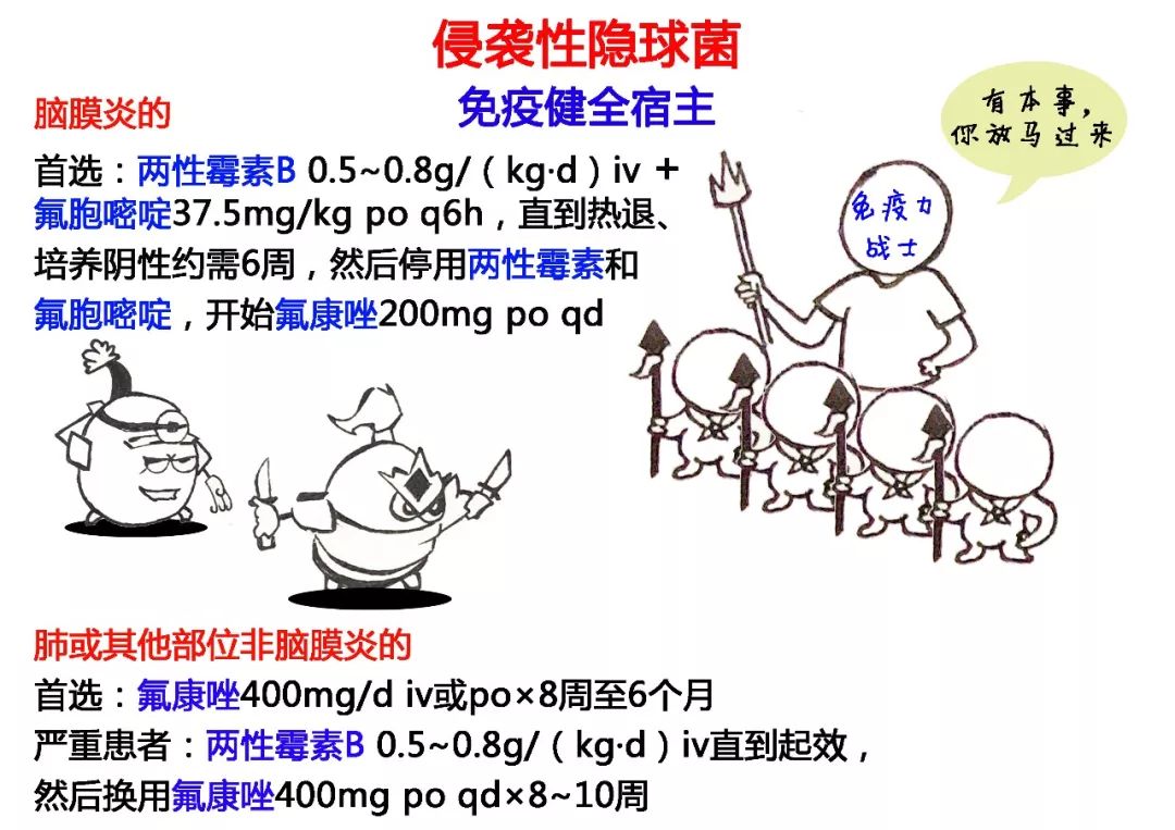 隐球菌病的封神榜，又实用又好玩！