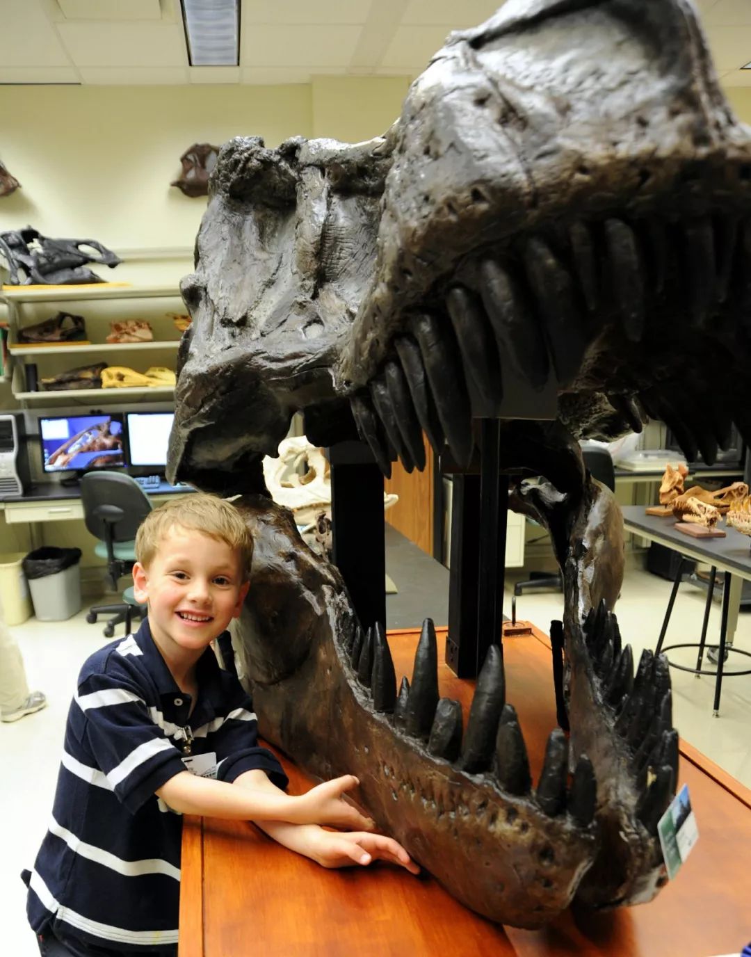 咬合力最小的恐龙是什么龙,恐龙中最大最厉害的恐龙是什么