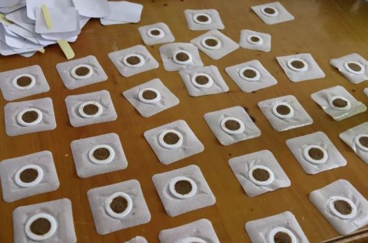 小小一片膏药为啥有那么大作用,小小的药膏竟有如此大的作用