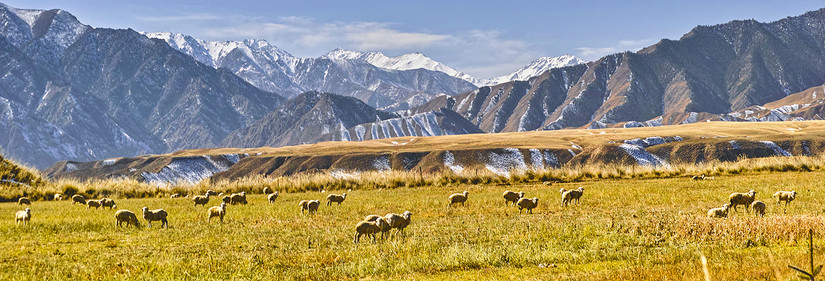 嘿！让我来说说我的旅途