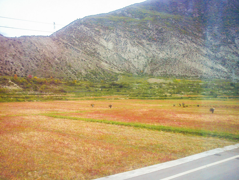 嘿！让我来说说我的旅途