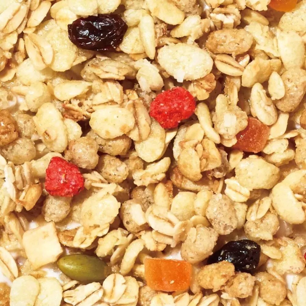 雷叔2020,雷叔双12价格表