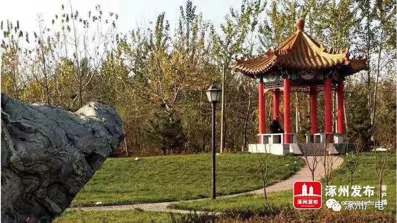 涿州理想城新闻最新消息,涿州宏远景园新楼盘