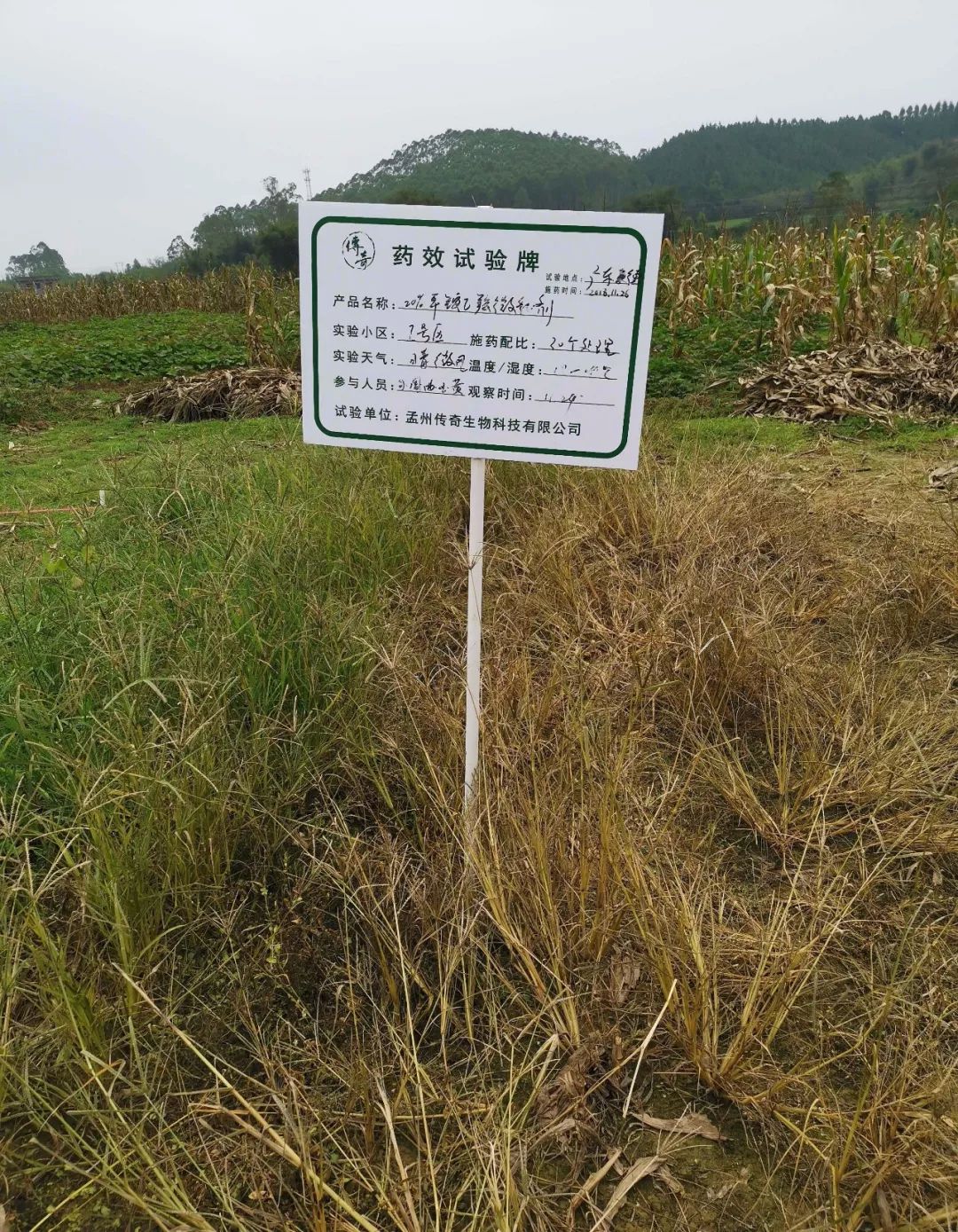 革命性灭生除草剂，百农信乙羧·草铵膦重磅来袭，现免费试用啦