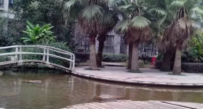 地铁2号线沿线学区房,地铁1号线双学区房