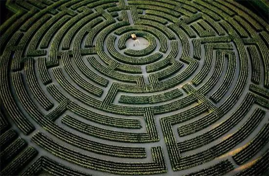 治愈还是致郁,治愈又致郁小说