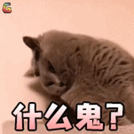 网易考拉再陷“假货”罗生门？大品牌背书海淘平台也不省心？真相是...