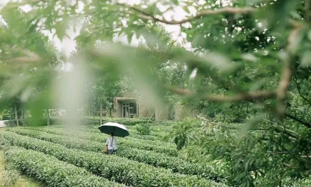 四川考小学教师资格证考试流程,2023年教师资格证四川报名多少人