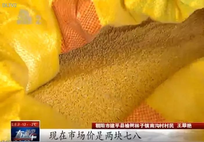 澶ц繛瀵瑰彛甯壎鏈濋槼,澶ц繛2022瀵瑰彛甯壎鍩庡競