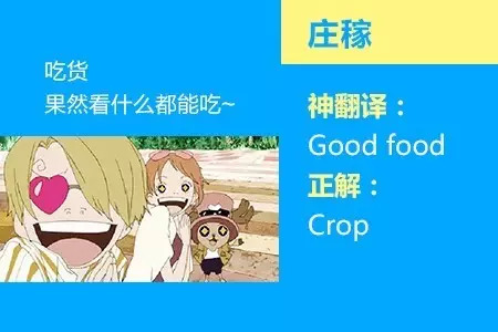 四六级神翻译,四六级翻译神评