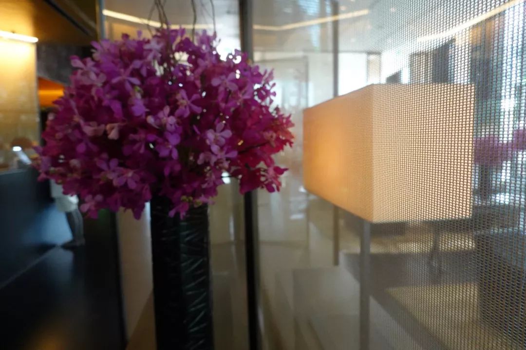 宝格丽酒店深度体验,世界最好的宝格丽酒店