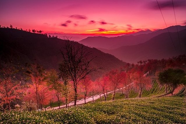 初春到哪里旅游好玩,9-10月国内赏秋小众线路
