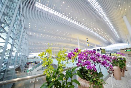 从t1到t2,广州白云机场t2到t1航站楼有多远