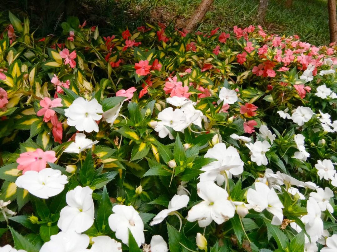 昆明立交桥旅游,昆明风景最好的立交桥