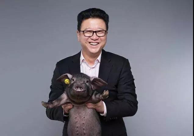 丁磊是什么时候开始养猪的,网易游戏丁磊为什么还养猪
